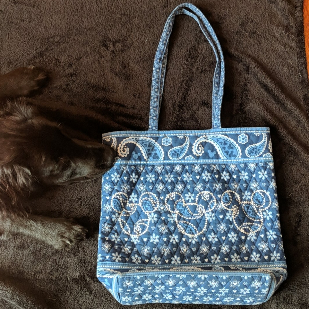 Hidden mickey quilted bag - Good used condition.